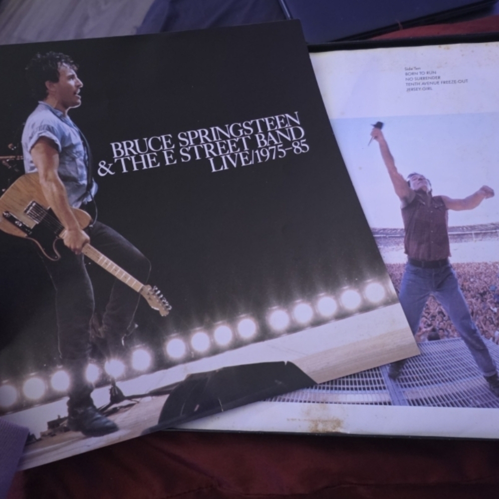 Bruce Springsteen Vinyl Record Set - Picture 3 of 4